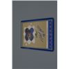 Image 1 : Mike york signed card