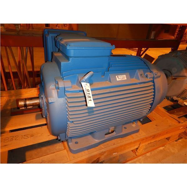 WEG ELECTRIC MOTOR 20018ET3G447TS-W22 ELECTRIC MOTOR