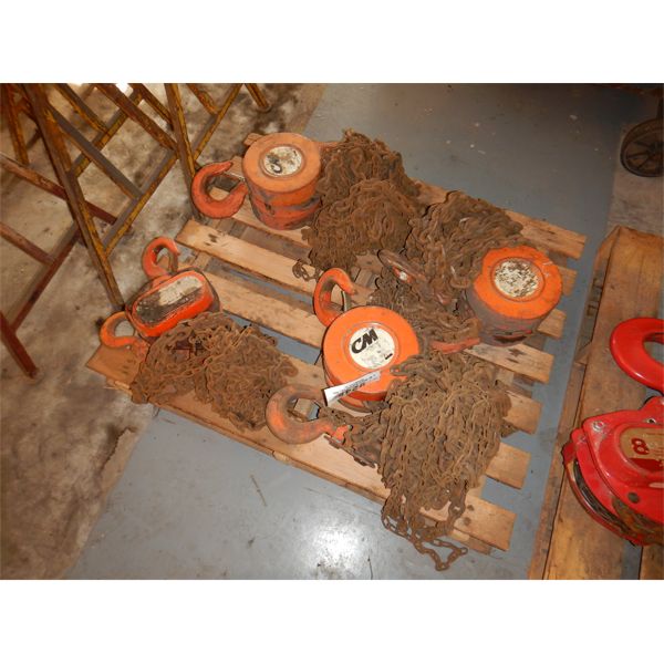 CM 5 TON CHAIN FALL