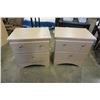 Image 1 : PAIR OF 2 DRAWER NIGHTSTANDS