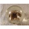 Image 2 : BB Marbles: Grazing Sheep Sulphide 8.4
