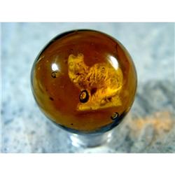 BB Marbles: Cat Sulphide in Brown Glass