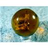 Image 2 : BB Marbles: Cat Sulphide in Brown Glass