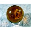 Image 3 : BB Marbles: Cat Sulphide in Brown Glass