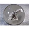 Image 1 : BB Marbles: Dog Sulphide 2-1/16" 8.6