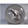 Image 2 : BB Marbles: Dog Sulphide 2-1/16" 8.6