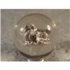 Image 1 : BB Marbles: Duck Sulphide 1-5/16" Polished