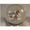 Image 2 : BB Marbles: Duck Sulphide 1-5/16" Polished