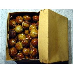 BB Marbles: Original Box Shooter Benningtons