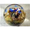 Image 2 : BB Marbles: Cathy Richardson Fish