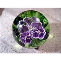 BB Marbles: David Salazar Experimental Pansy