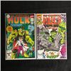 Image 1 : THE INCREDIBLE HULK COMIC BOOK LOT (MARVEL COMICS)