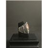 Image 2 : ARIZONA CARDINALS N.F.L 2008 "WARNER" CHAMPIONSHIP REPLICA RING