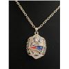 Image 1 : NEW ENGLAND PATRIOTS N.F.L 2017 CHAMPIONSHIP NECKLACE