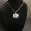 Image 2 : SEATTLE SEAHAWKS N.F.L 2013 CHAMPIONSHIP NECKLACE