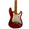 Image 1 : Signed Nirvana Guitar