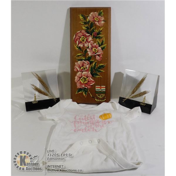 VINTAGE ACRYLIC LUCITE BOOK