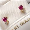 Image 3 : 14K YELLOW GOLD RUBY DIAMOND(0.02CT)  EARRINGS