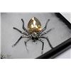 Image 1 : RHINESTONE SPIDER BROOCH