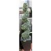 Image 1 : LOT OF 2 STANDING 6' TALL ARTIFICIAL TREE WITH