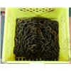 Image 1 : 1 - 3/8" TRANSPORT CHAIN 28 FEET LONG