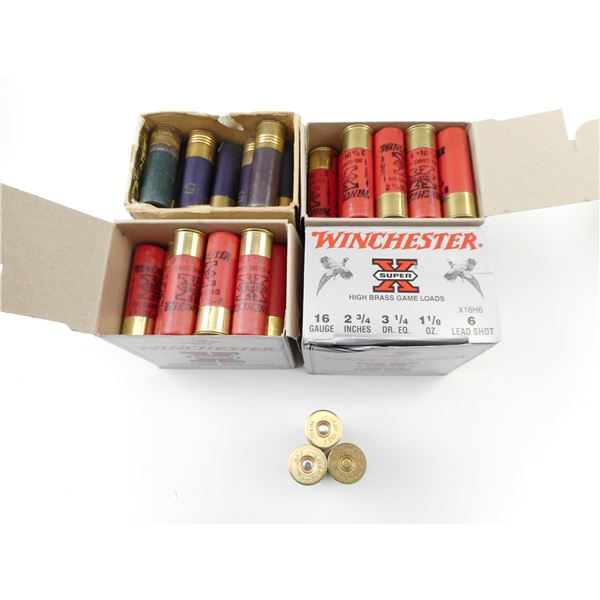 ASSORTED 16 GA SHOT SHELLS