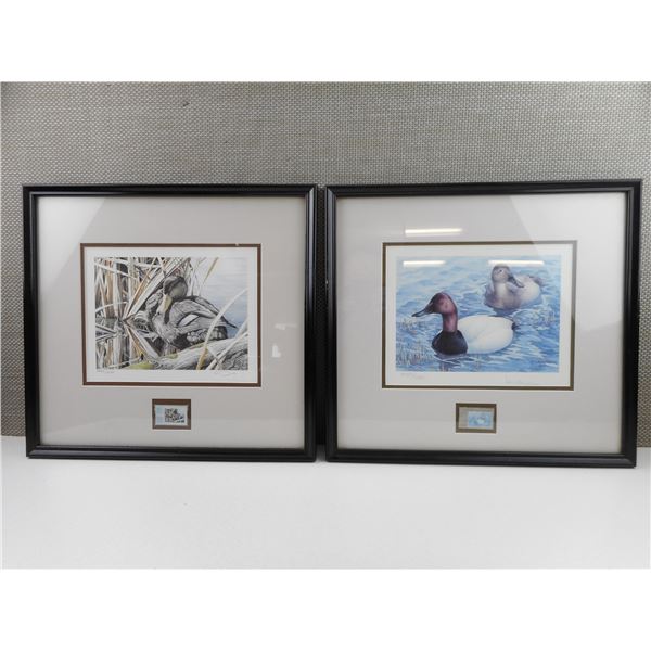 ASSORTED DUCK FRAMED PICTURES
