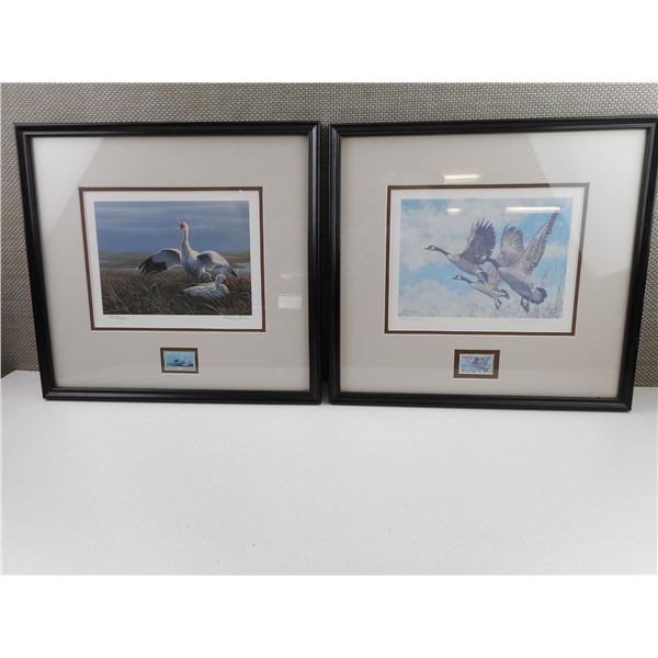 ASSORTED GEESE FRAMED PICTURES
