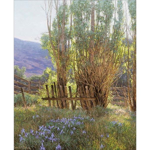 Dennis Doheny -Wild Iris