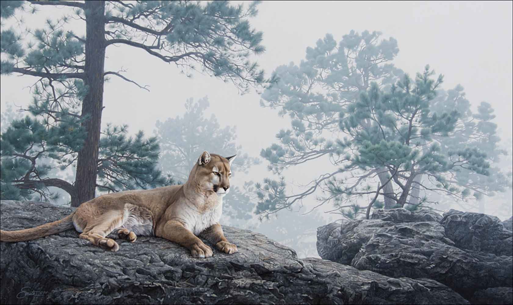 Daniel Smith -Mountain Lion in the Mist