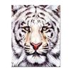 Image 1 : "Bengal" Limited Edition Giclee on Canvas by Martin Katon, Numbered and Hand Sig