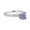 Image 1 : 3.06 ctw Sapphire and Diamond Ring - 14KT White Gold