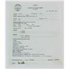 Image 3 : Captain America: The First Avenger (2011) - Steve Rogers Medical and Military Paperwork