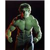 Image 2 : The Incredible Hulk (1977 - 1982) - The Hulk Green Make-Up and Hair