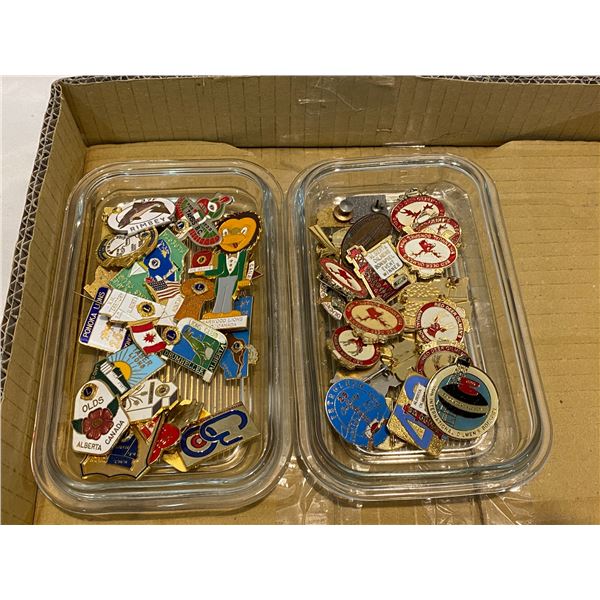 Lions club pins and other pins