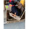Image 1 : 3 baskets and 2 stuffies