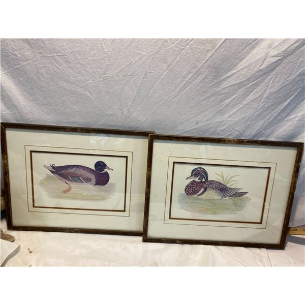 2 pictures 17.5 inches x 12.5 inches