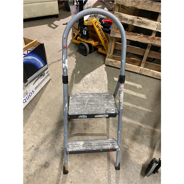 Cosco Step Ladder