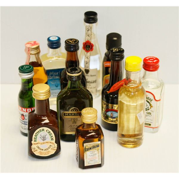 BAG WITH 12 ASSORTED 1OZ LIQUOR BOTTLES ASSORTED ALCOHOL %