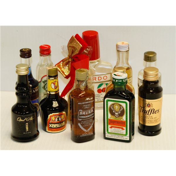 BAG WITH 12 ASSORTED 1OZ LIQUOR BOTTLES ASSORTED ALCOHOL %