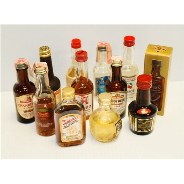 BAG WITH 12 ASSORTED 1OZ LIQUOR BOTTLES ASSORTED ALCOHOL %