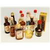 Image 1 : BAG WITH 12 ASSORTED 1OZ LIQUOR BOTTLES ASSORTED ALCOHOL %