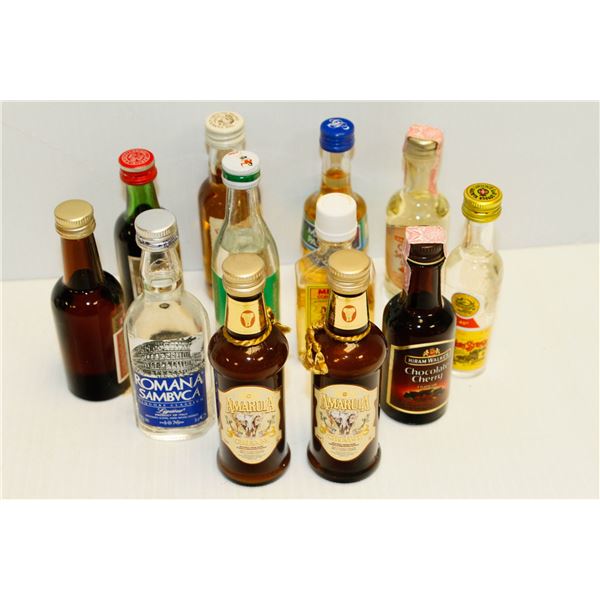 BAG WITH 12 ASSORTED 1OZ LIQUOR BOTTLES ASSORTED ALCOHOL %