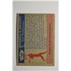 Image 2 : 1959 Fleer Ted Williams #49 Smash Return