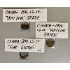 Image 1 : 1886 / 1894 / 1906 - LOT OF 3 CANADIAN LARGE 1 CENT PIECES