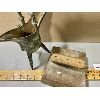 Image 2 : LOT OF AFRICAN HANDCRAFTED COLLECTIBLES - FORGED URN & PRESS