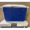 Image 2 : LOT OF 2 COOLERS - IGLOO COOLMATE 40 & RUBBERMAID PICNIC COLLER