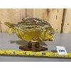 Image 1 : MOUNTED PIRANAH FISH
