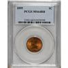Image 1 : 1895 1C MS64 Red and Brown PCGS. PCGS Population (