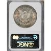 Image 2 : 1887 $1 MS65 NGC. NGC Census: (19090/2962). PCGS P